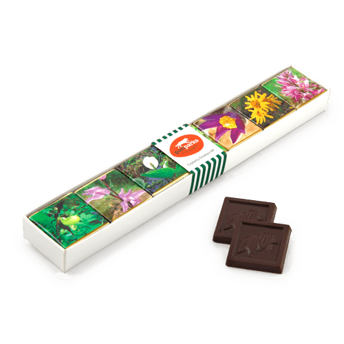 Reklaminis šokoladukų rinkinys baltos arba natūraliai rudos spalvos dėžutėje. Šokoladukai su logotipu, nuotrauka arba piešiniu. 
 